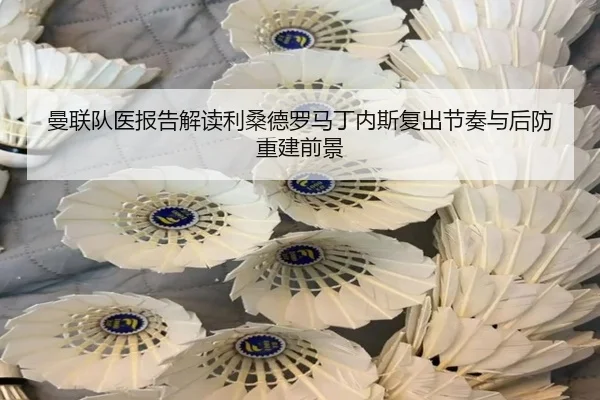 曼联队医报告解读利桑德罗马丁内斯复出节奏与后防重建前景